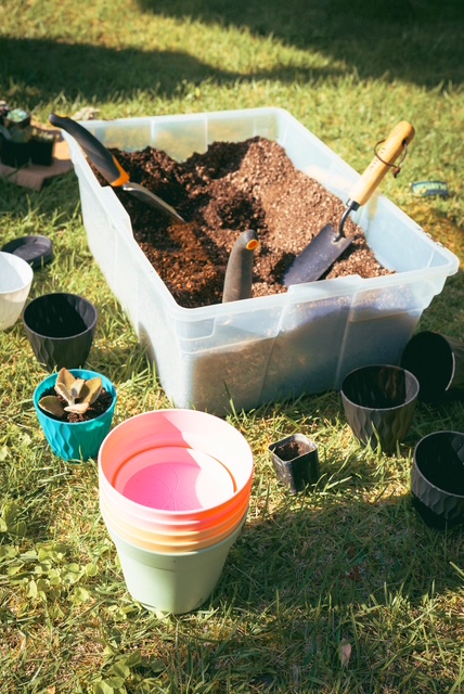 Hands gardening together in the grass